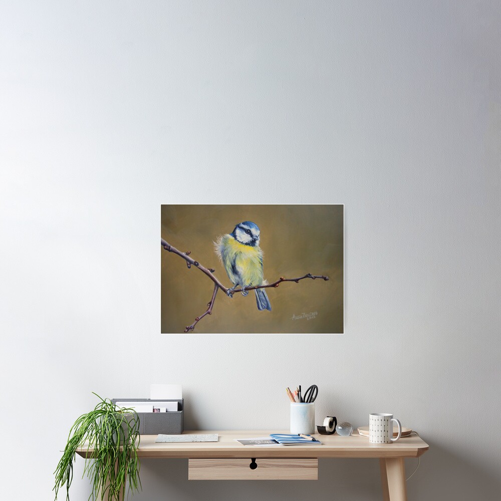 Blue Tit Poster