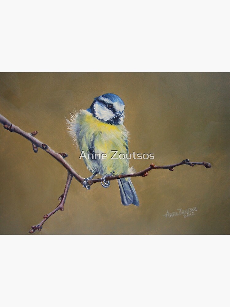 Blue Tit by AnneZ