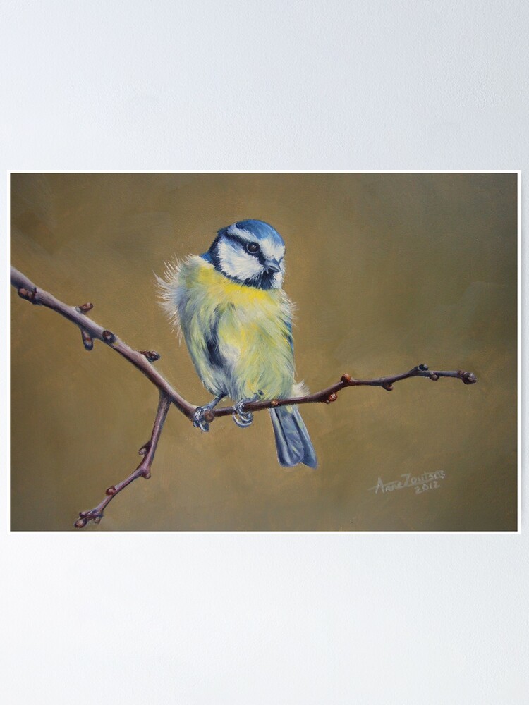 Alternate view of Blue Tit Poster