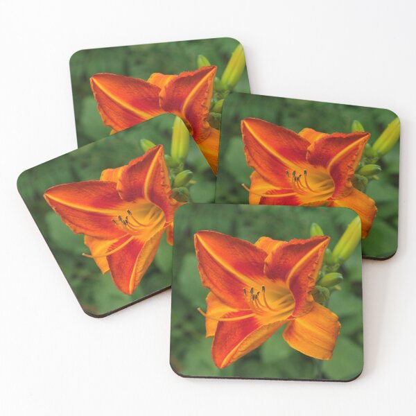 Item preview, From Bold Vermilion to Flame Orange - One Glorious Daylily Bloom designed and sold by Georgia Mizuleva.
