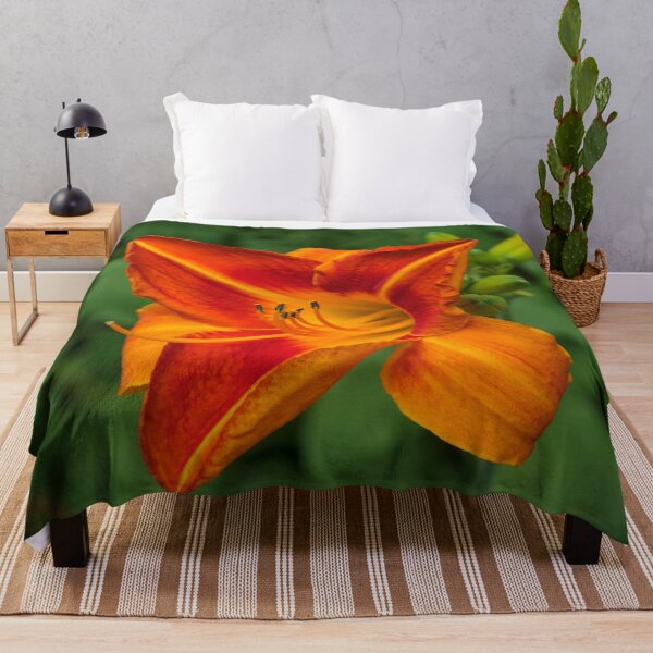 Item preview, From Bold Vermilion to Flame Orange - One Glorious Daylily Bloom designed and sold by Georgia Mizuleva.