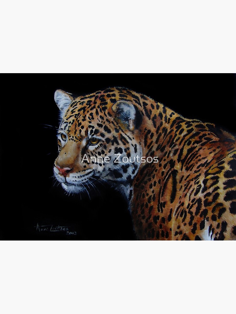 A Rare Beauty - beautiful jaguar big cat by AnneZ