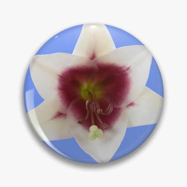 Item preview, Lilium  Triumphator = 'Zanlophator' designed and sold by Chris Burrows.