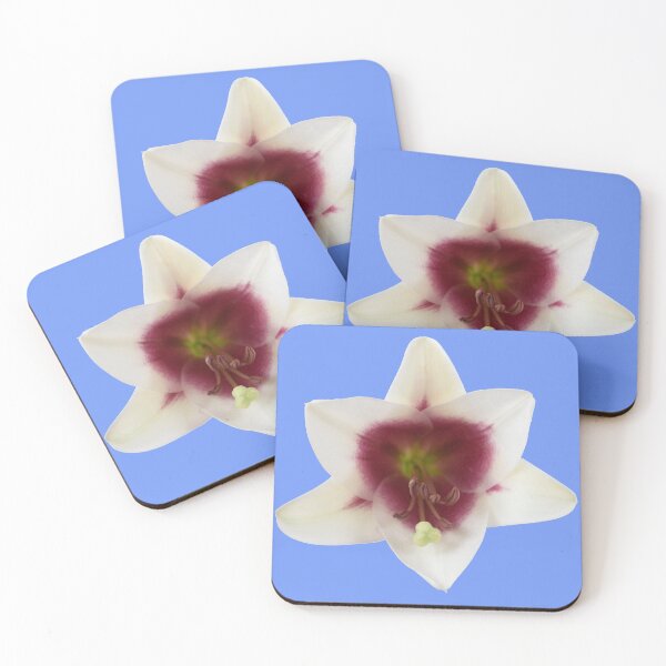 Item preview, Lilium  Triumphator = 'Zanlophator' designed and sold by Chris Burrows.