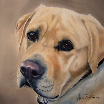 Artwork thumbnail, Labrador Expression by Anne Zoutsos