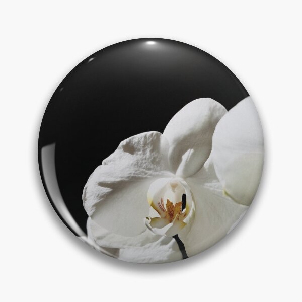 Item preview, Flowers in bloom designed and sold by AllyM20.