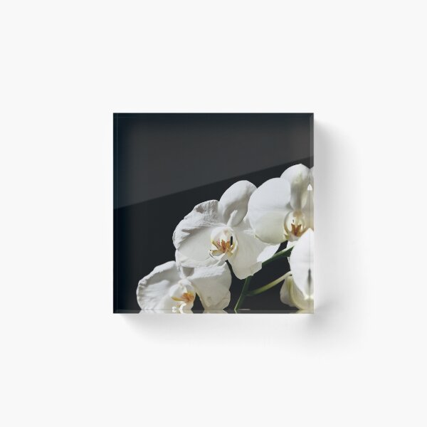 Item preview, Flowers in bloom designed and sold by AllyM20.