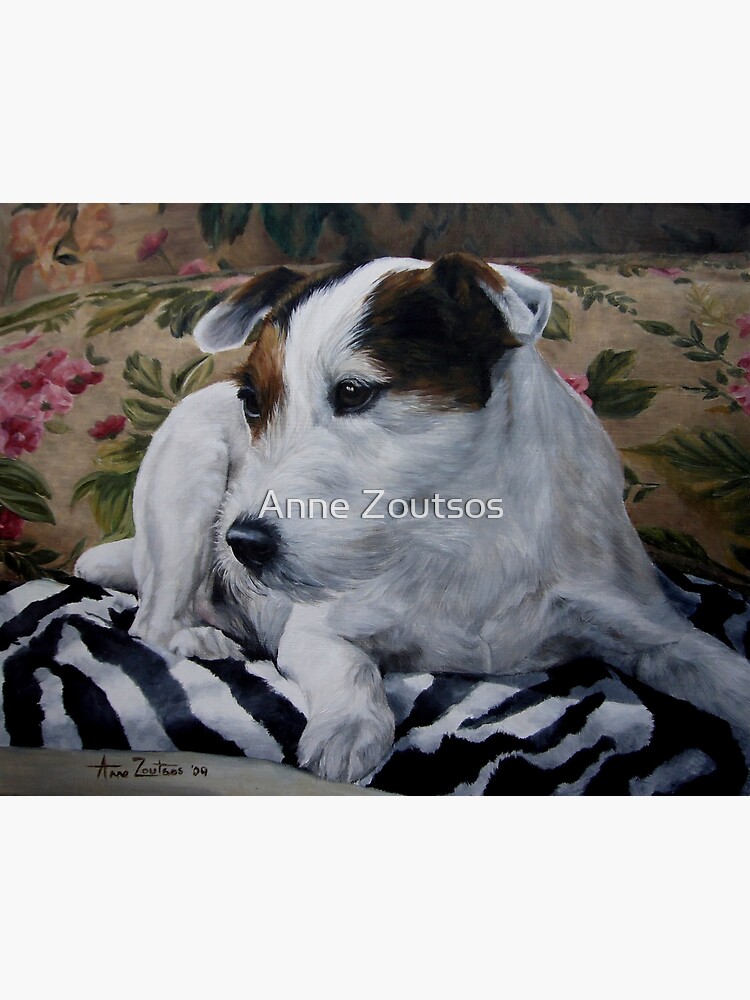 Ditto - Jack Russell Terrier by AnneZ