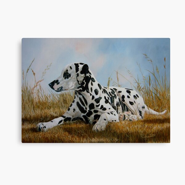 A Pleasant Spot (beautiful black spotted Dalmatian) Canvas Print