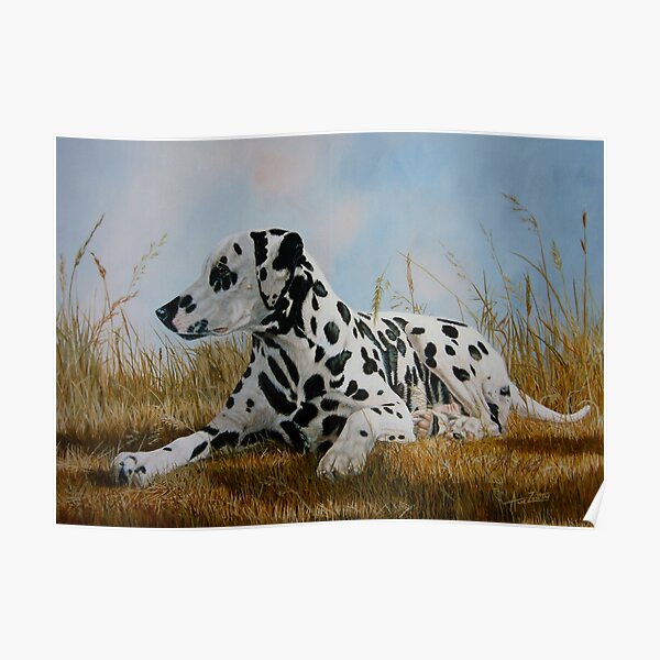 A Pleasant Spot (beautiful black spotted Dalmatian) Poster
