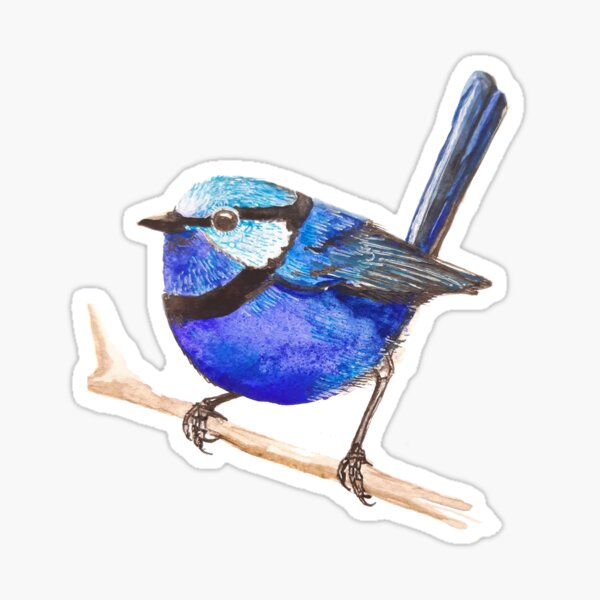 Fairy wren bird in Watercolor Sticker