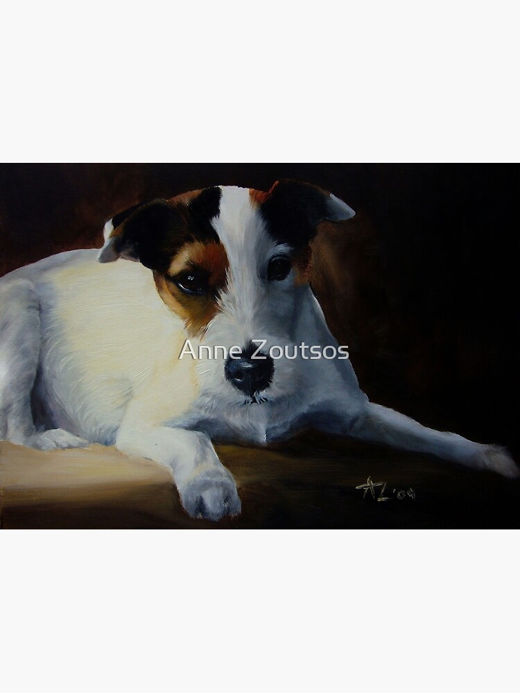 Parson Jack Russell Terrier by AnneZ