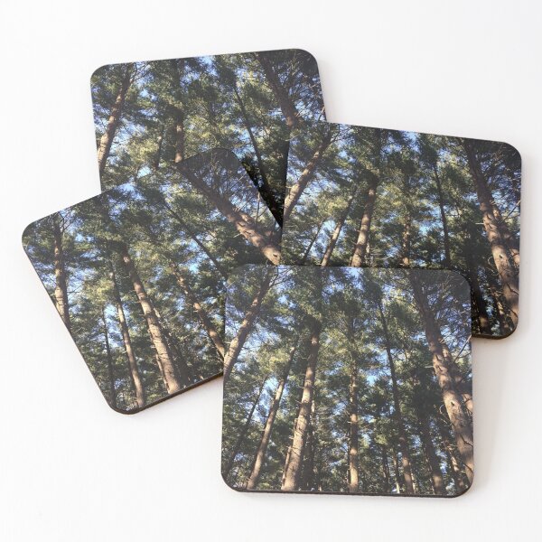Item preview, Sun streaming through pine trees in the forest designed and sold by JuliVogel.