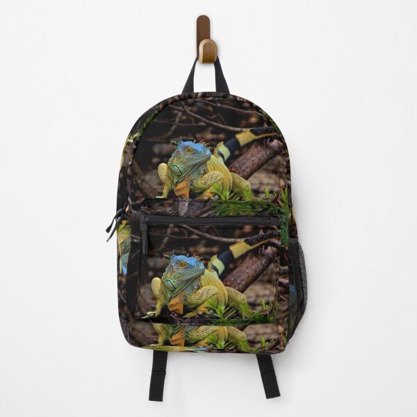 Item preview, Iguana On Johnny Cay II designed and sold by alabca.