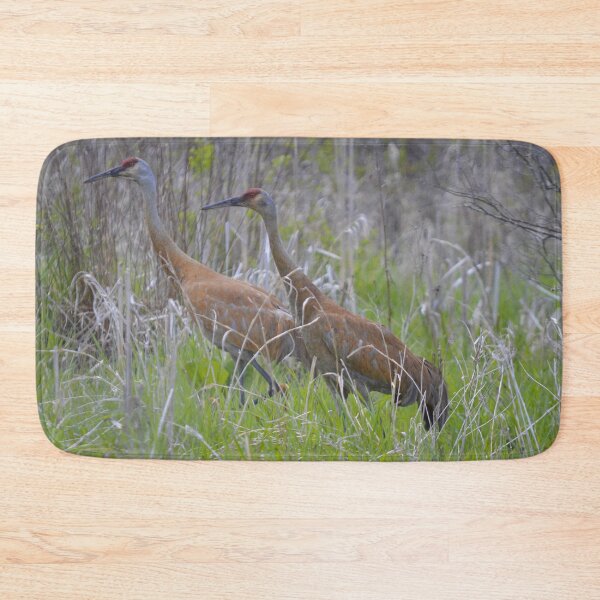 Item preview, Sandhill Crane Pair designed and sold by Lin3158.