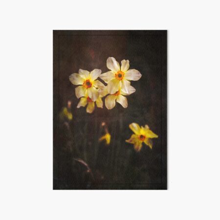 Daffodil bunch Art Board Print