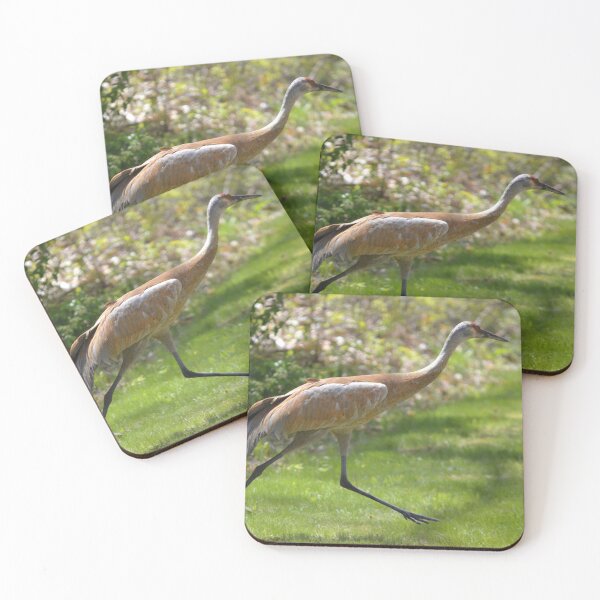 Item preview, Run Like the Wind designed and sold by Lin3158.