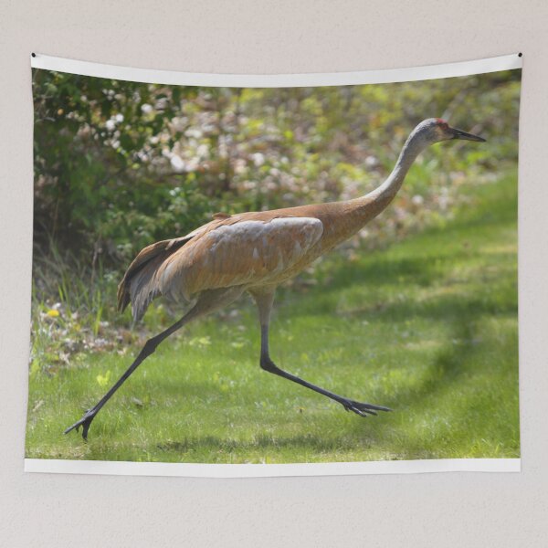Item preview, Run Like the Wind designed and sold by Lin3158.