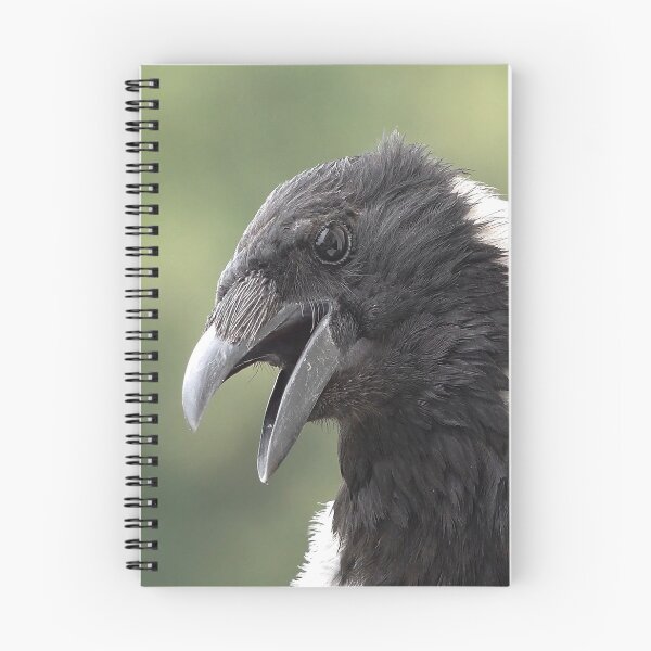 Artikelvorschau, Überraschte Krähe entworfen und verkauft von Babbler01.