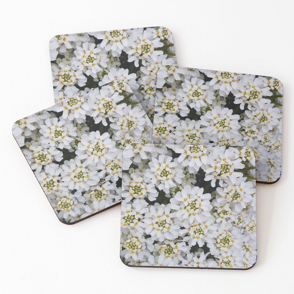 Item preview, Coasters (Set of 4) designed and sold by RaspberryGreen.