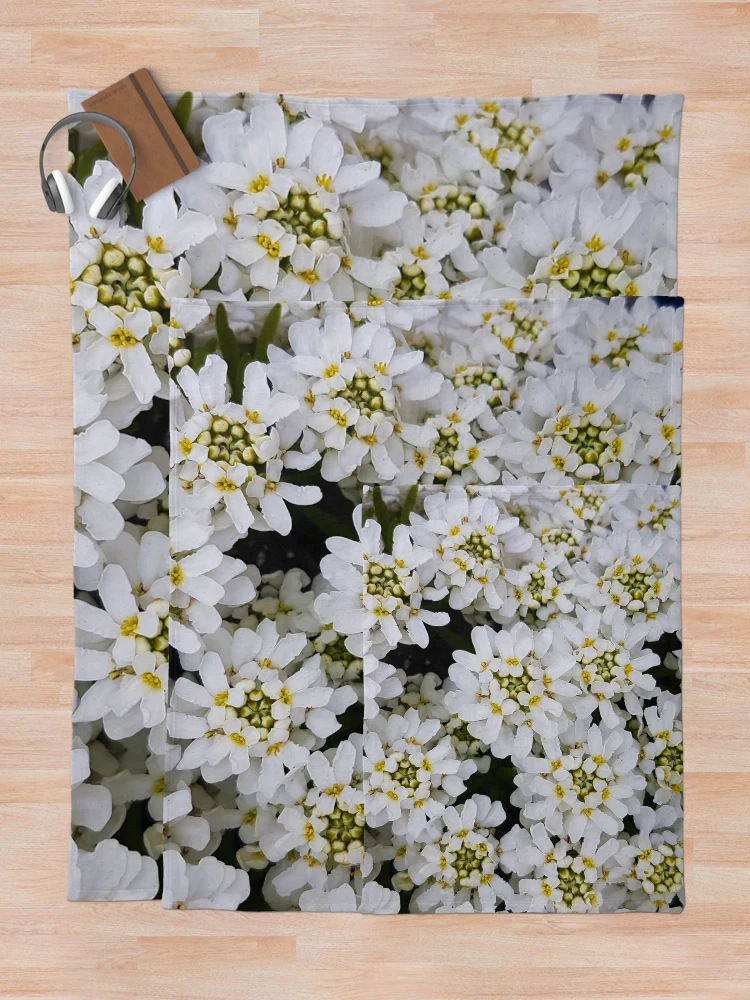 Aperçu 5 sur 6. Plaid avec l'œuvre fleurs blanches créée et vendue par RaspberryGreen.