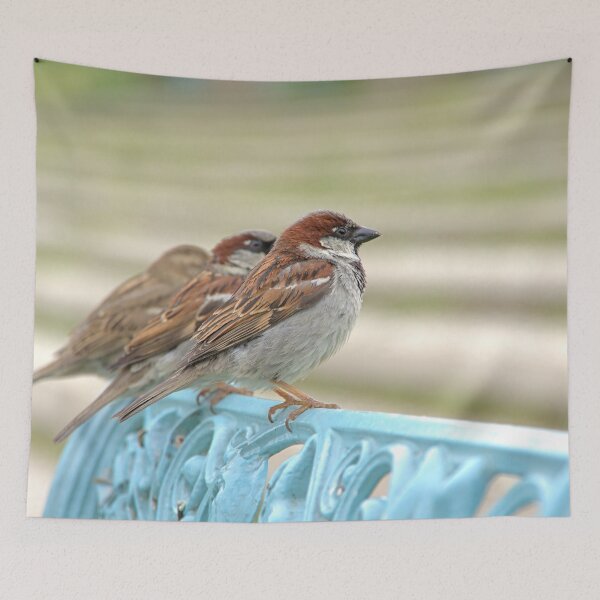 Item preview, Three sparrows designed and sold by Babbler01.