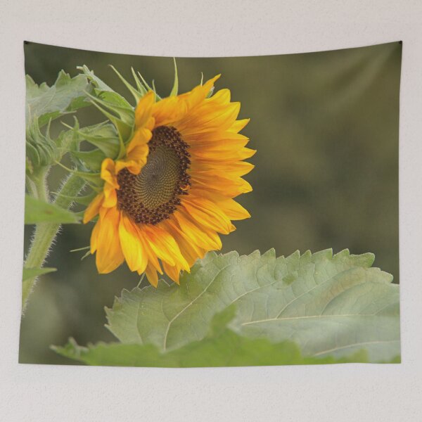 Item preview, Sunflower designed and sold by Babbler01.