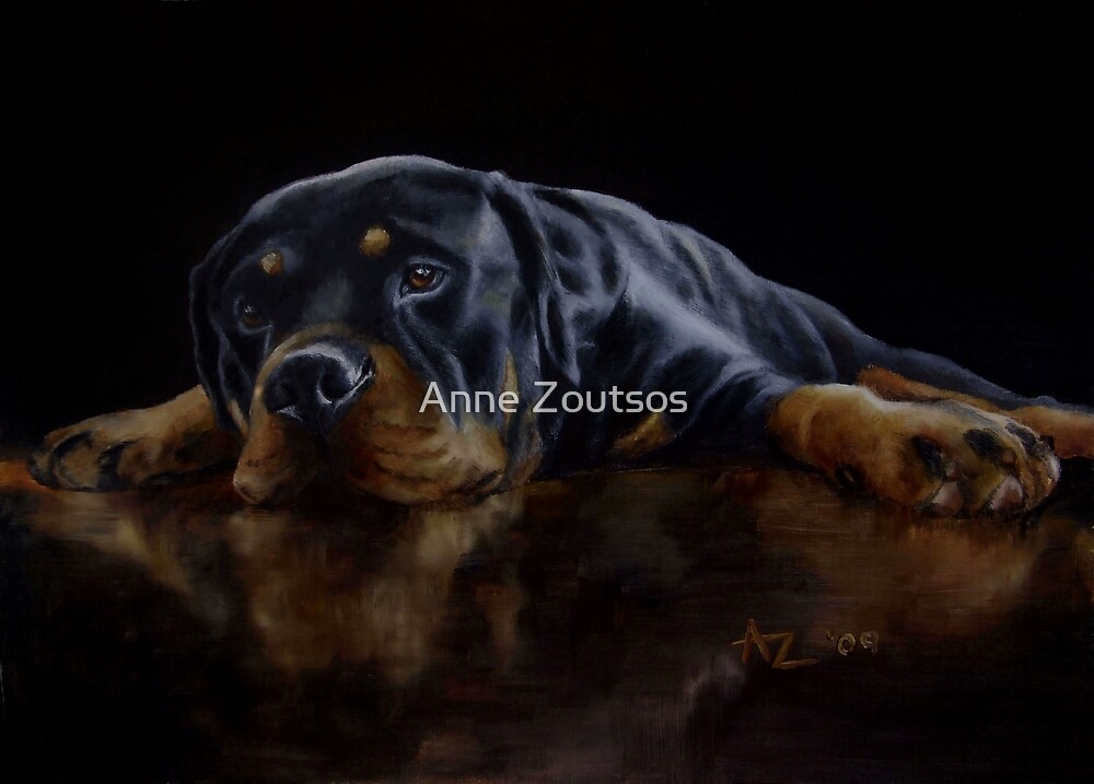 Reflections (Rottweiler) by Anne Zoutsos