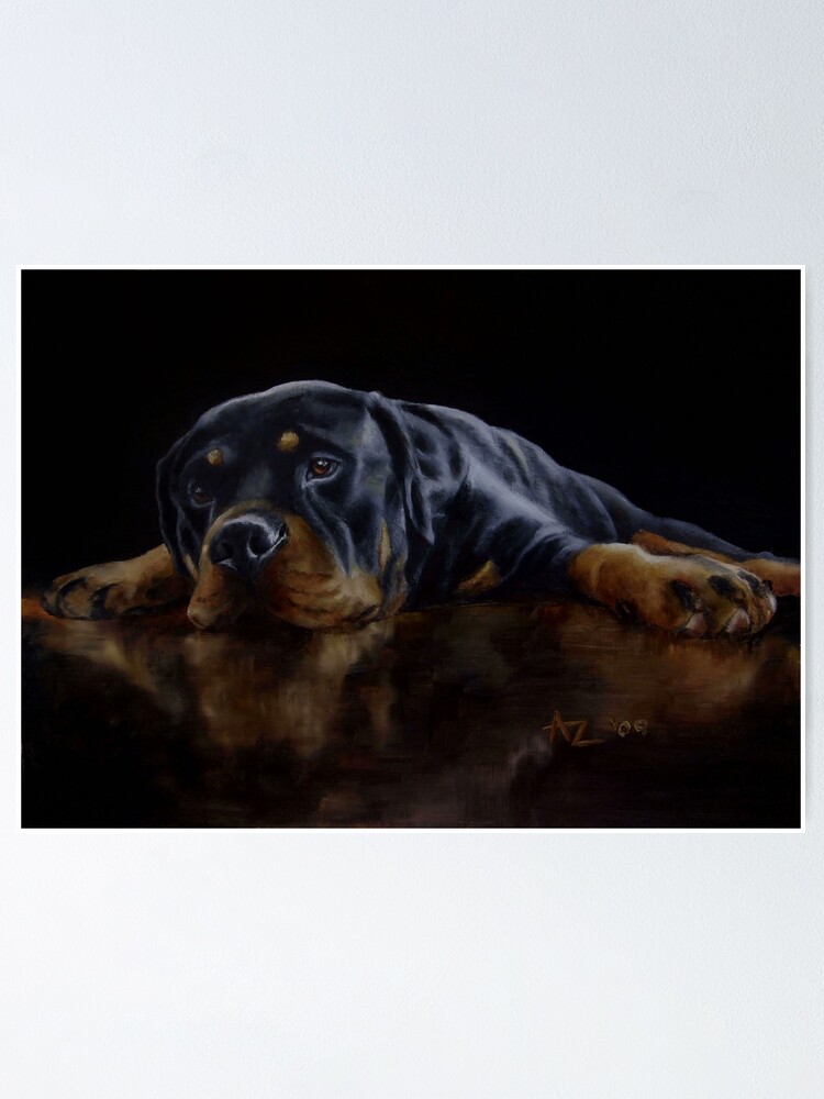 Alternate view of Reflections (Rottweiler) Poster