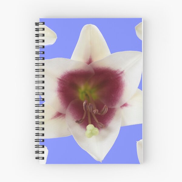 Item preview, Lilium  Triumphator = 'Zanlophator' designed and sold by Chris Burrows.