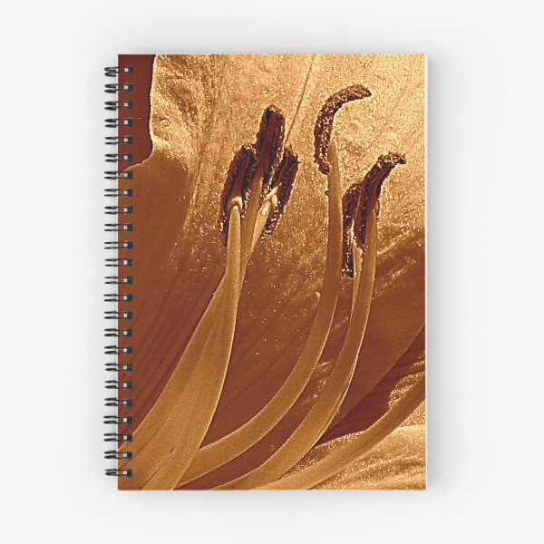 Item preview, Daily designed and sold by Jean Gregory Evans.