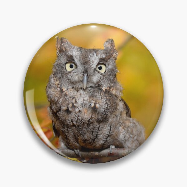 Item preview, Screech Owl designed and sold by Lin3158.