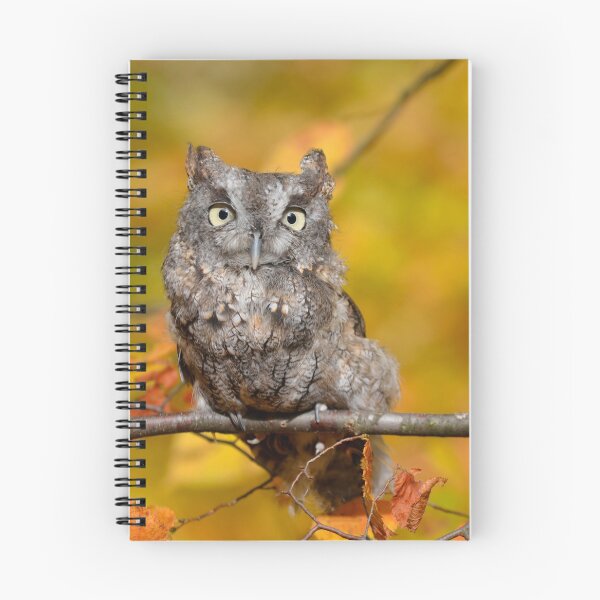 Item preview, Screech Owl designed and sold by Lin3158.