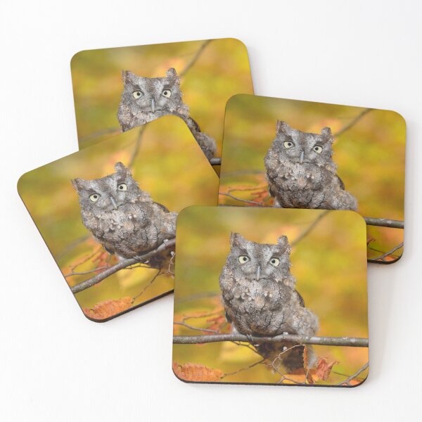 Item preview, Screech Owl designed and sold by Lin3158.