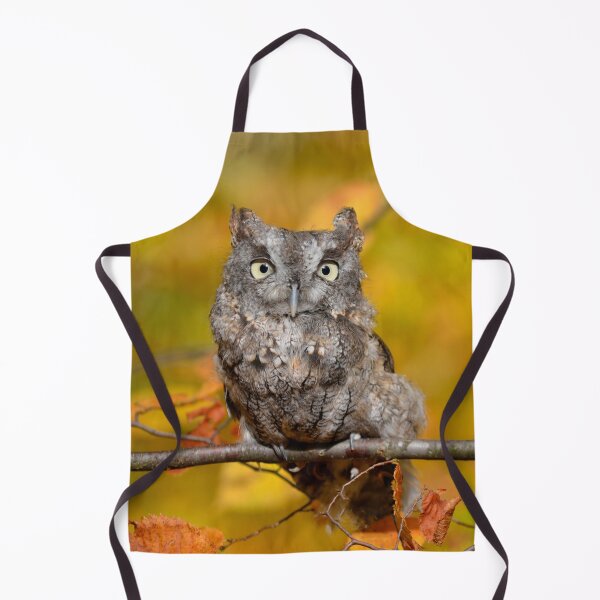 Item preview, Screech Owl designed and sold by Lin3158.