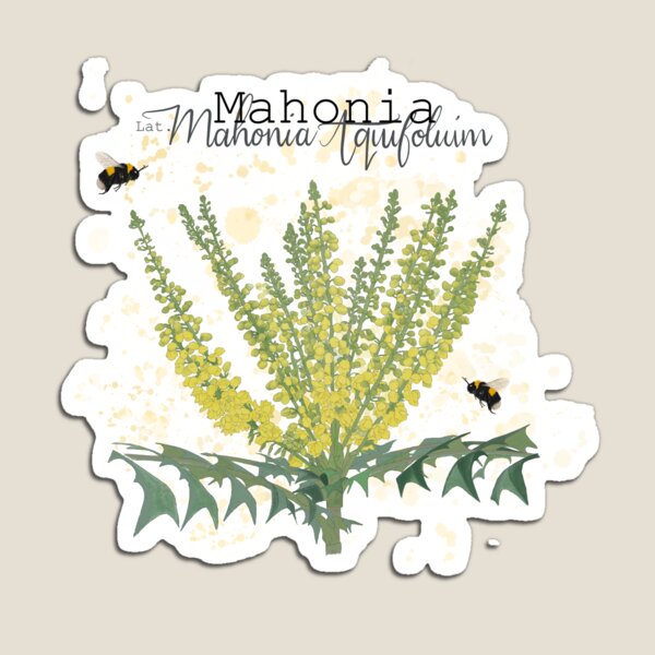 Artikelvorschau, Mahonia für Bienen entworfen und verkauft von Milly2015.