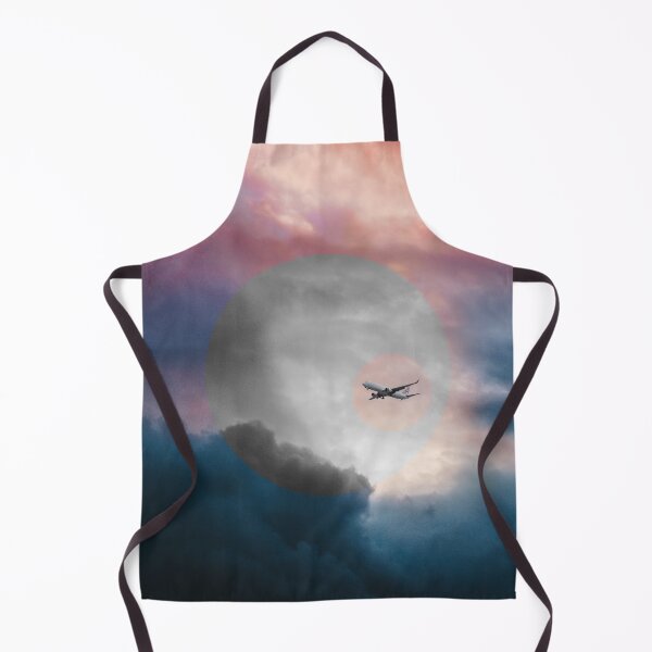 Item preview, The dominant airplane designed and sold by Planeteleven.