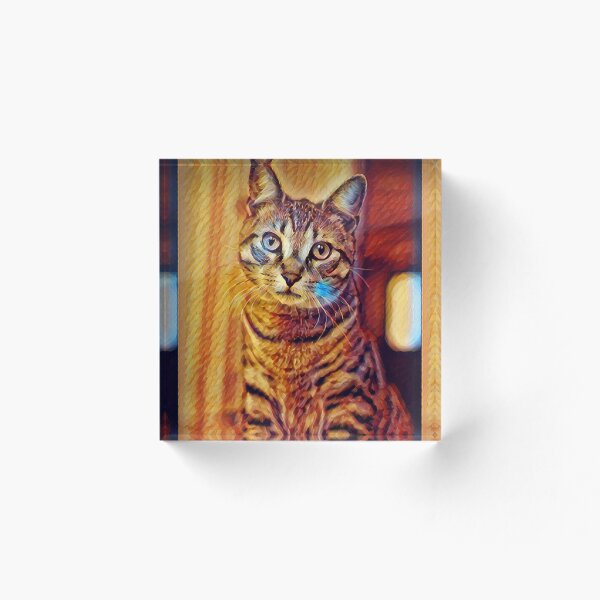 Aperçu de l'œuvre Je pense que les tigres sont la famille des chats créée et vendue par Sepi-Thinking.