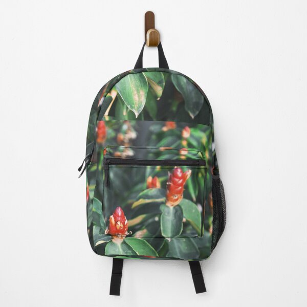Item preview, Red Costus spicatus, also known as spiked spiralflag ginger or Indian head ginger flower on tree in nature designed and sold by FCEalin.