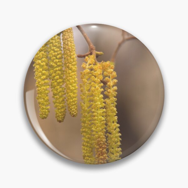 Item preview, Hazel tree designed and sold by Babbler01.