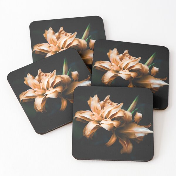 Item preview, Beautiful orangish pink Daylilies isolated on black  designed and sold by FCEalin.