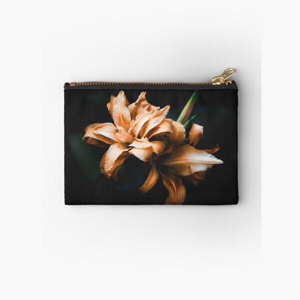 Item preview, Beautiful orangish pink Daylilies isolated on black  designed and sold by FCEalin.