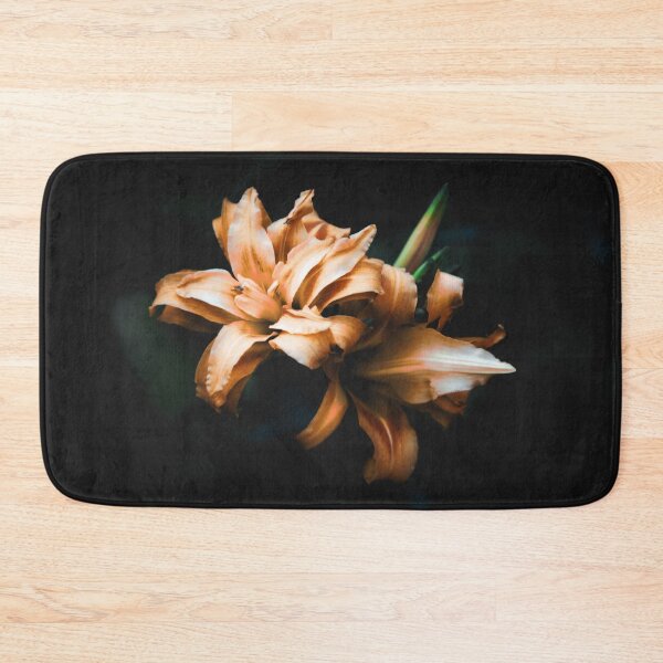 Item preview, Beautiful orangish pink Daylilies isolated on black  designed and sold by FCEalin.
