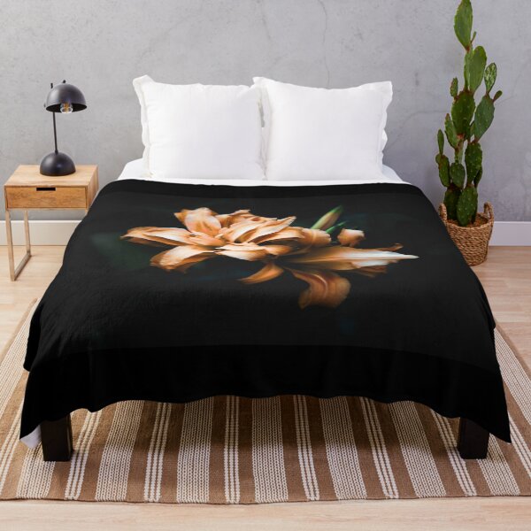 Item preview, Beautiful orangish pink Daylilies isolated on black  designed and sold by FCEalin.