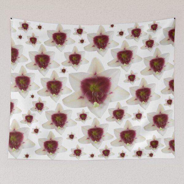Item preview, Lilium Triumphator = 'Zanlophator'  designed and sold by Chris Burrows.