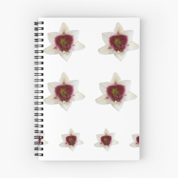 Item preview, Lilium Triumphator = 'Zanlophator'  designed and sold by Chris Burrows.