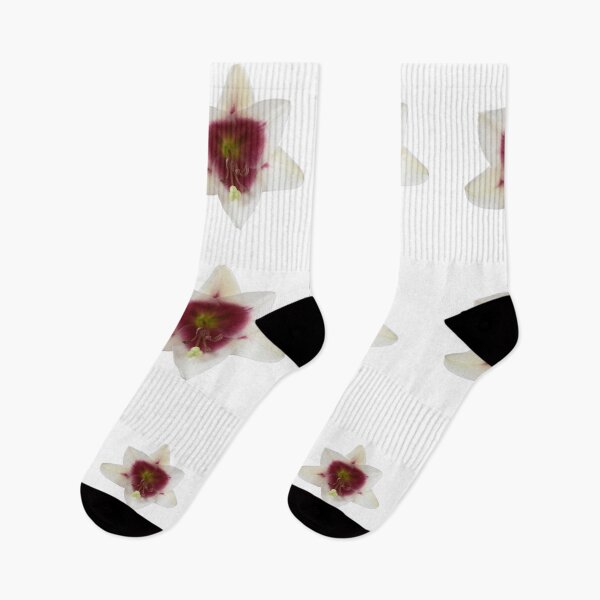 Item preview, Lilium Triumphator = 'Zanlophator'  designed and sold by Chris Burrows.
