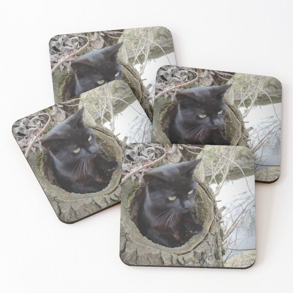 Item preview, Cat Paule in the pasture designed and sold by Gourmetkater.