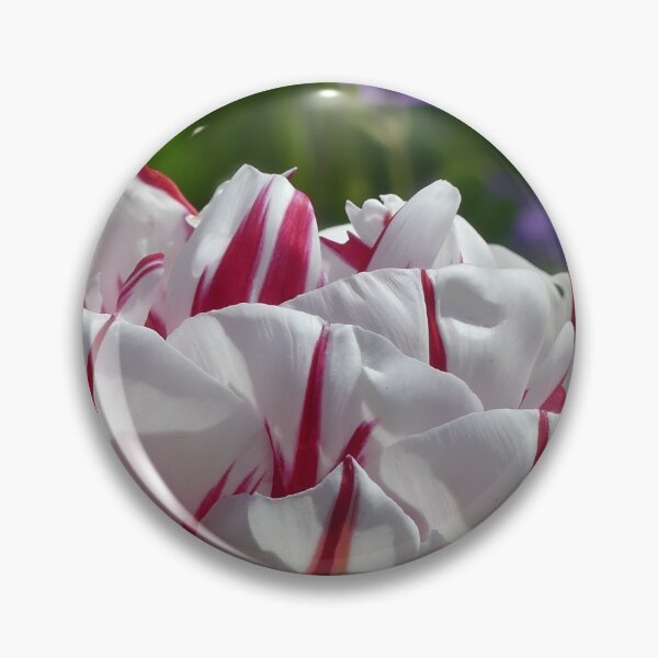 Item preview, Tulip from Holland designed and sold by Sandra  Brave.