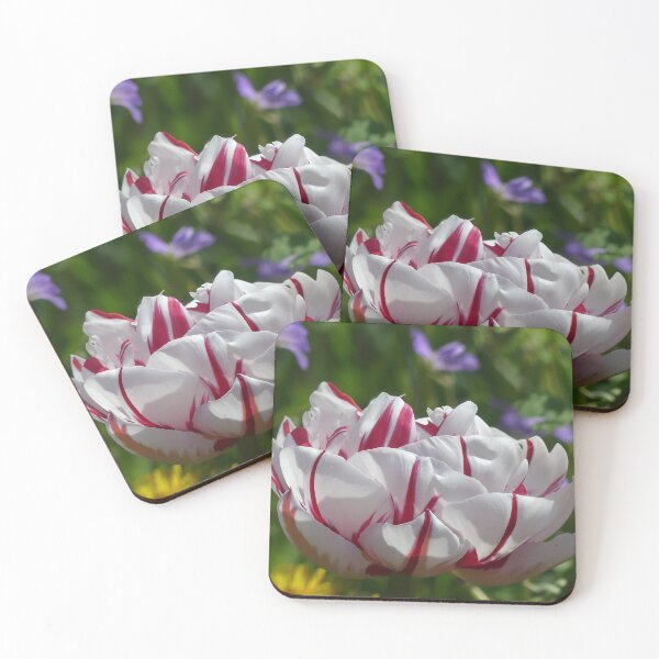 Item preview, Tulip from Holland designed and sold by Sandra  Brave.